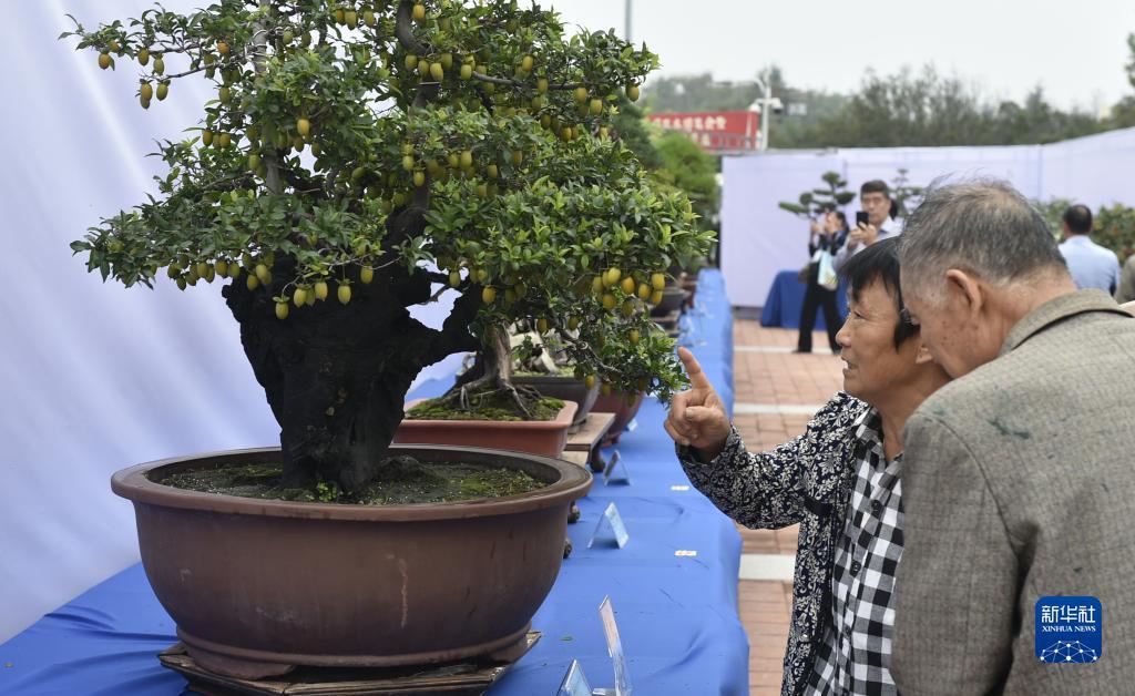 捕鱼王攻略